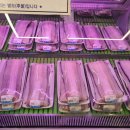 태릉풍천장어 이미지