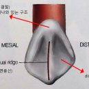 융선