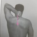 호한의원 이미지