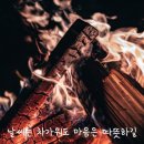 비비다방 이미지