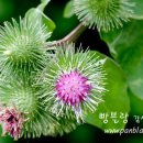 오늘더맑은날 이미지