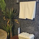 느리게 가는 구름 | 제주 서귀포 에어비앤비 숙소 느리게가는구름 독채