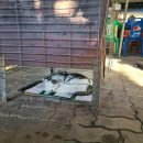 초원상회 이미지