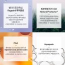 워시벨리 | 임산부 튼살크림 추천 ㅣ프라젠트라 벨리 크림 plus