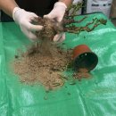 관악도시농업센터 화장실 | 자취방 화분, 분갈이 막막할 땐 관악구 &#34;강감찬도시농업센터&#34; 추천