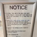 오구오구 | 영도 ‘오구카페’ 내돈내산 후기 애견동반카페 추천