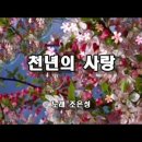 천년의 사랑 - 조은성 이미지