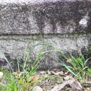 무곡리 삼층석탑 이미지