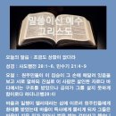 조금 - 창원시 성산구 | 조금