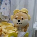 (주)오스타코리아 이미지