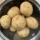 다은이네 민박 이미지