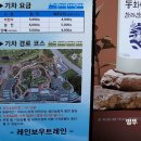 제주 동화마을 레인보우트레인 후기ㅣ 아이와 함께 가기 좋은 제주 여행 코스 추천