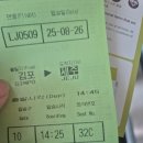 돔베리조트 | 2025년8월 4대 제주여행 첫날 (제주자매국수,제주남원하나로마트,제주금호리조트)