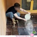 더모스트에이민박 | 경기 가평 ] 모스트인 가평한옥마을 - 가평재 제 10차 취란당 숙박 후기