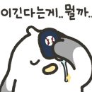 양덕동121 이미지