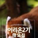 이리온 2 Daum카페