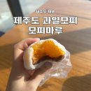모찌마루 | 제주공항 과일모찌 맛집 모찌마루 종류별 예약 포장 후기