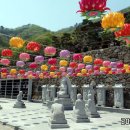 대원정사 이미지