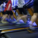 정왕헬스 이미지