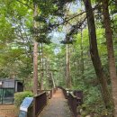 국립유명산자연휴양림 관리사무소 2층 공중화장실 | 유명산자연휴양림 자작나무룸 -요즘시기에 정말 좋은 휴양림 추천!