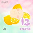 [임신일기] 임신13 주 ~ 16 주 임신일기 2차기형아검사 성별확인 성별반전