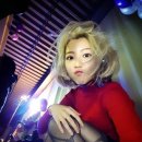 홈스텔라 이미지