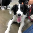 (주)서당 이미지