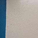 리또 풀빌라 이미지