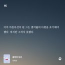 성호세탁소 | 250825-250831 하루만 미뤄 내보는 다이빙