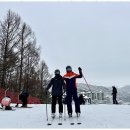 용평리조트 이미지