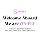 온플라이