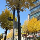 신사주유소 | [신사] 신사랑318 쭈꾸미&amp;닭갈비 : 신사역 점심 맛집 추천