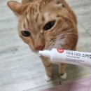 얼굴 여드름 흉터 없애는 법 흉터제거연고 추천 이야 더마스카겔