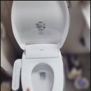 논산노비타
