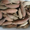 한얼농장 이미지