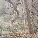 유달산 미륵불 암각 이미지