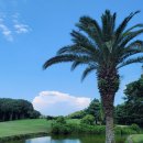 지도그라운드골프장 그라운드골프장 | 겨울골프 최적지 제주도골프장 사이프러스CC 크라운CC 오라CC 제주골프패키지 정보 라운딩후기