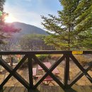 숲속의 호수마을 이미지