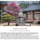 핸드폰충전부터 수소생산까지...에너지반응핵심비밀풀렸다 / 국가유산사랑2026년5월표지이야기 / 아기...