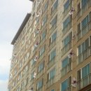 봉선2동 주민센터 이미지