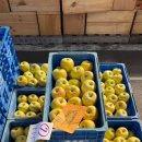 장일축산 이미지