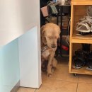 펜션길벗 | 크리스마스 곤지암 스키장 / 청춘스키 렌탈+강습 / 곤지암펜션 길벗 후기