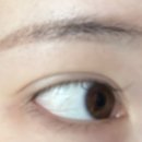 이신호 속눈썹 본점
