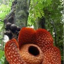 행복은 자신이 만드는 것 이미지