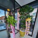 가비다(GABIDA) 이미지