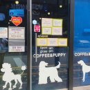 퍼피 앤 퍼피(PUPPY & PUPPY) 네이버블로그