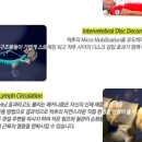 시퀀스무브먼트 이미지