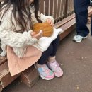 아이렌트카 | [후쿠오카 뱃푸 사파리] 아프리칸 사파리 아이와 다녀온 후기 (렌트카,정글버스,동물 먹이주기)