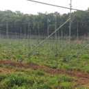 백월농장 이미지