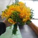 하나농장 이미지